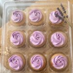Vanilla Cupcake
